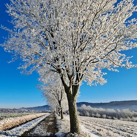 Auf Dem Sonnenberg * סייסן