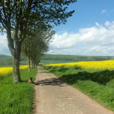 Auf Dem Sonnenberg דירה